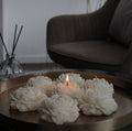 Nến Peony - Hoa Mẫu Đơn