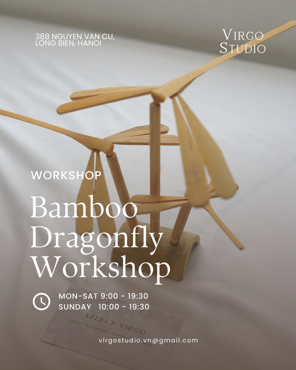 BAMBOO DRAGON FLY WORKSHOP