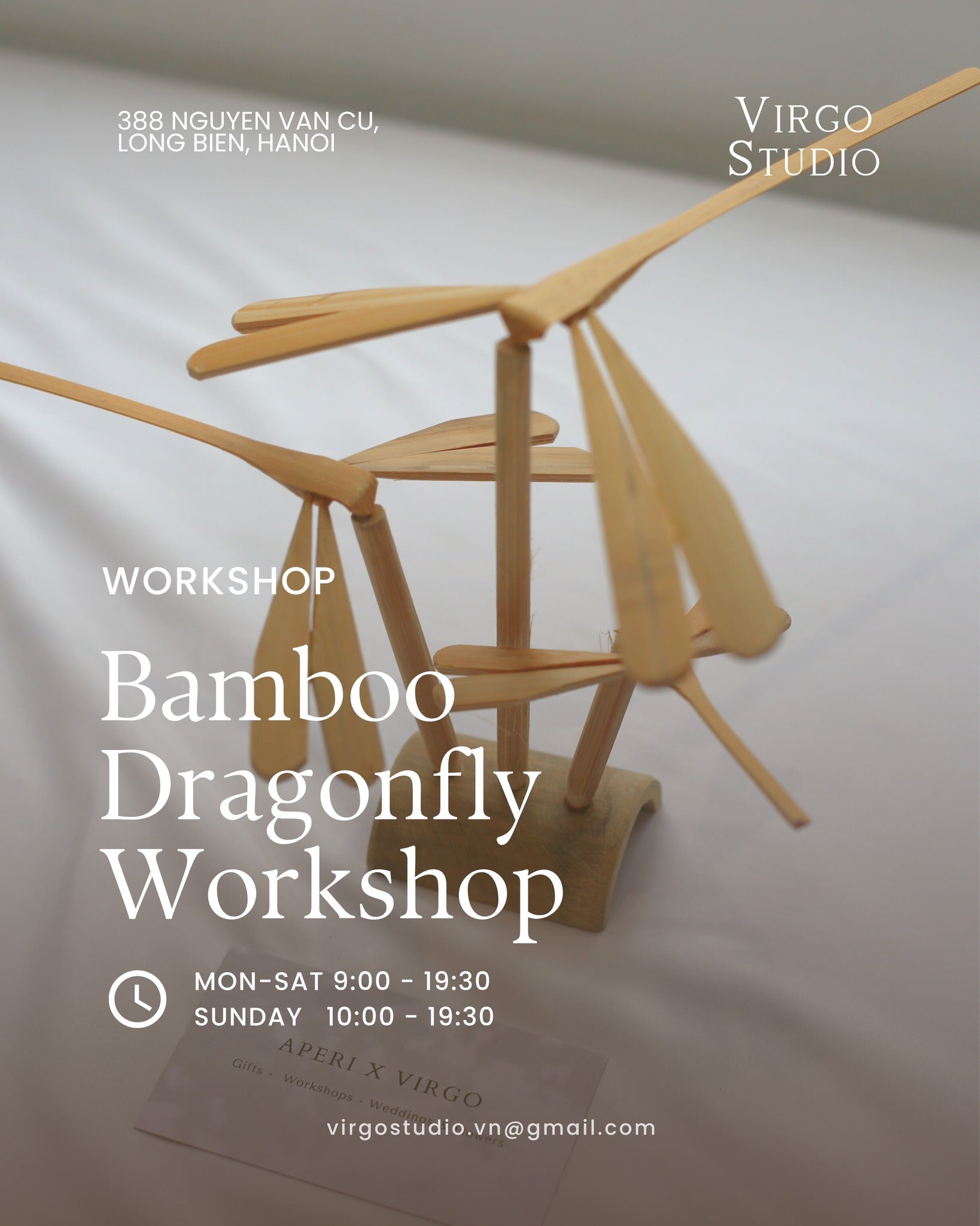 BAMBOO DRAGON FLY WORKSHOP